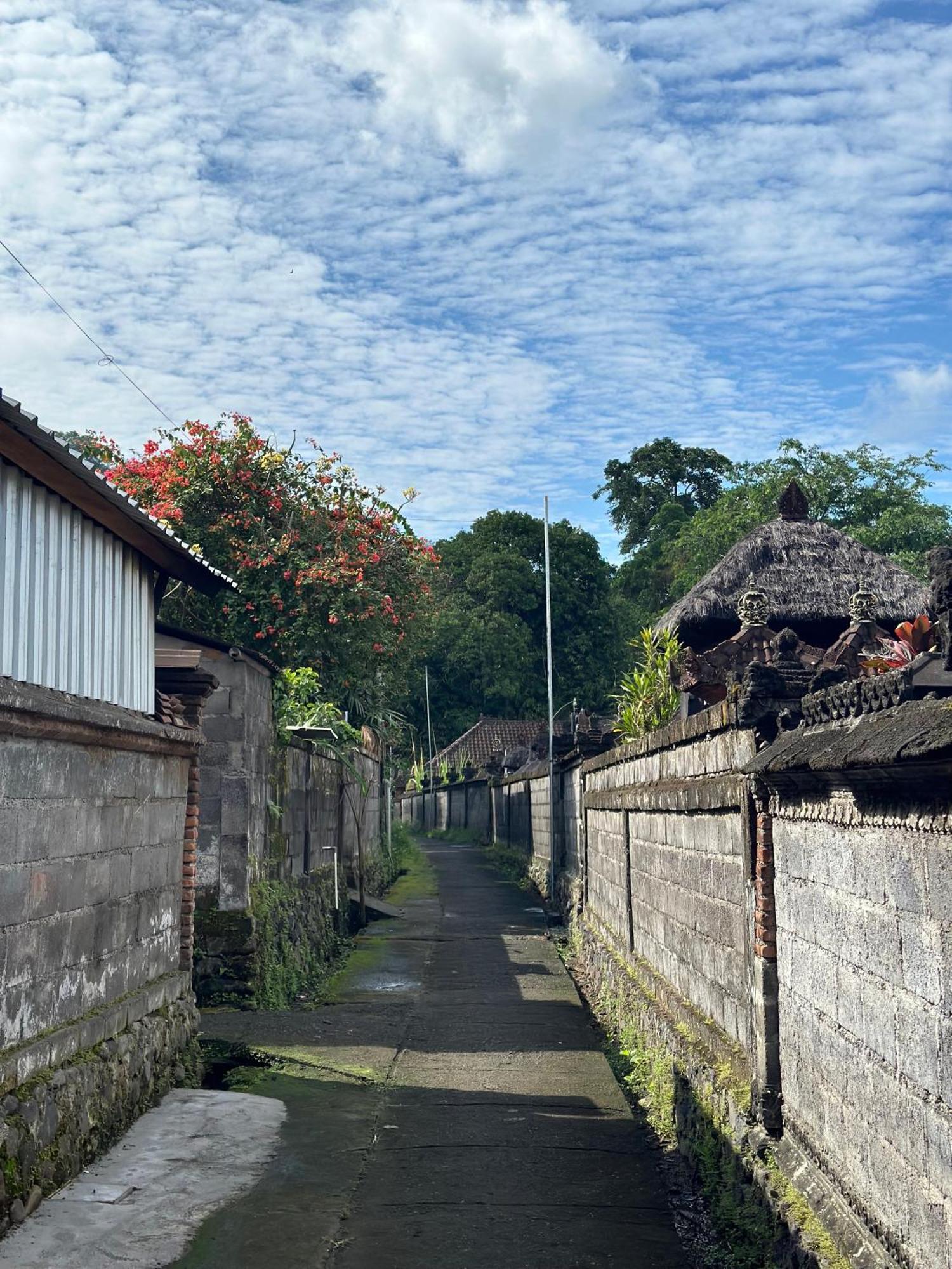 Made Putu Homestay Sidemen  Exterior photo